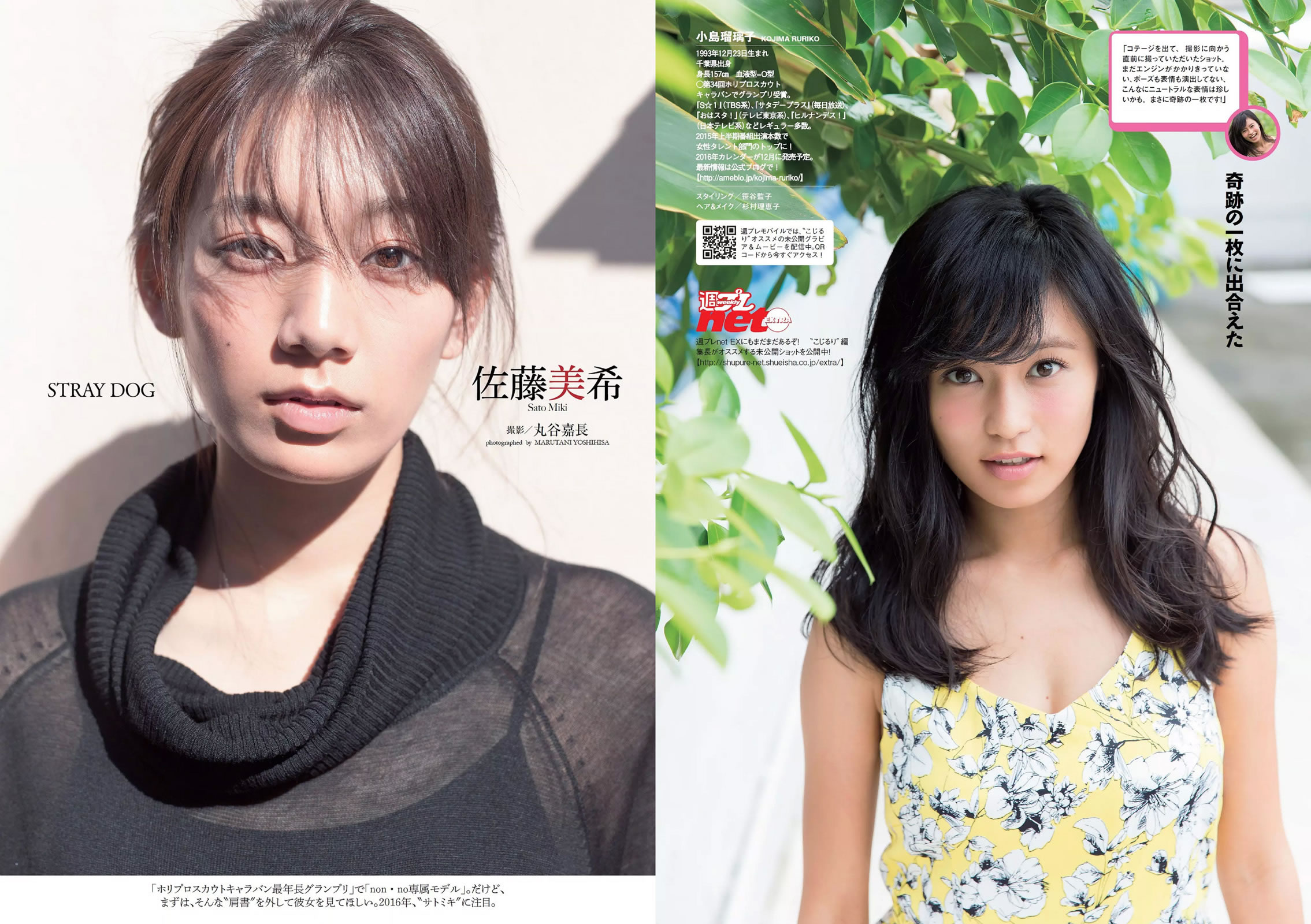 [Weekly Playboy]高清写真图2015 No.49 小島瑠璃子 佐藤美希 笛木優子 宮脇麻那 橘花凛 森下まい 希志あいの [23P]高清写真图