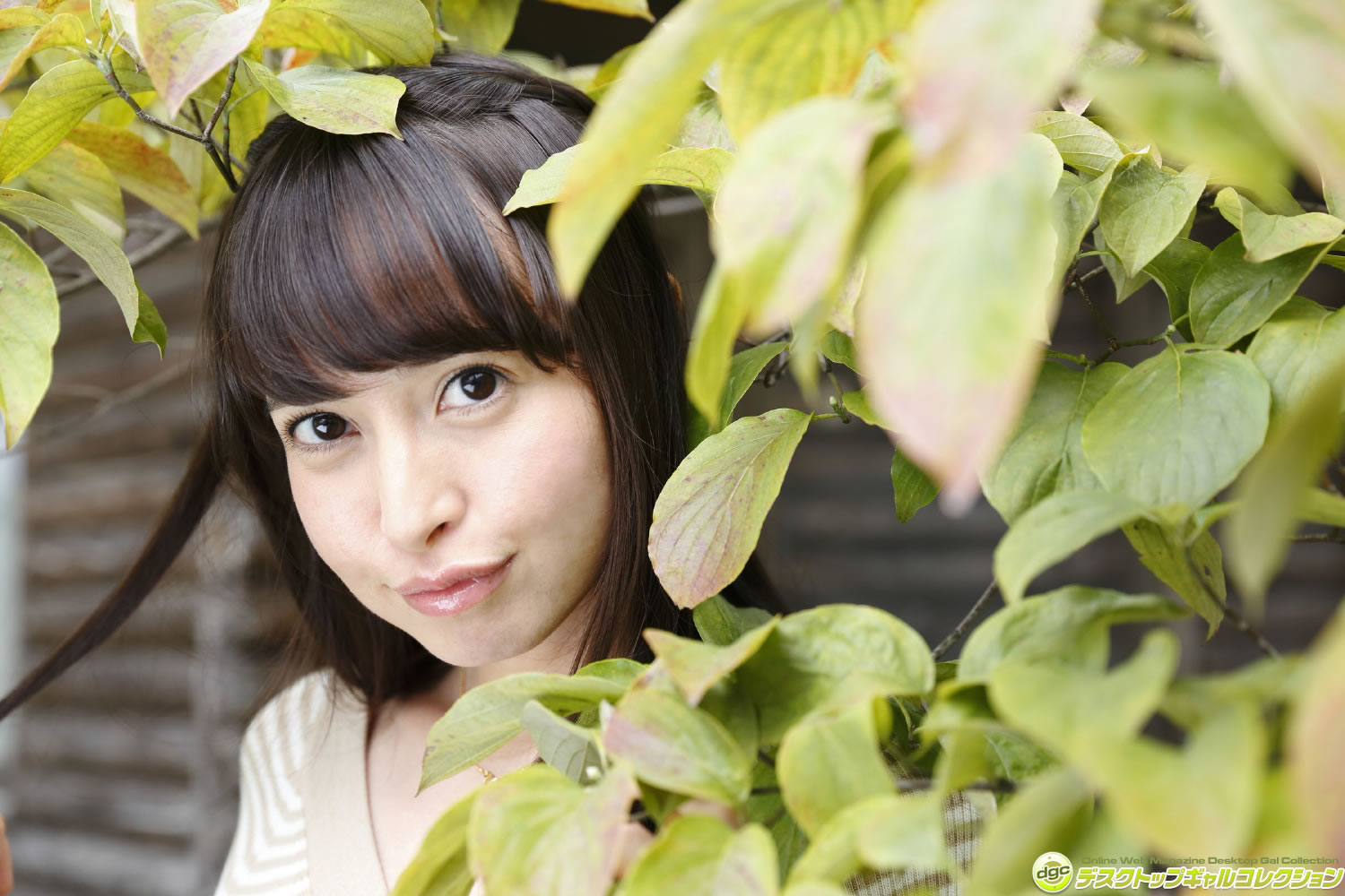 西田藍 [DGC]高清写真图2015.11 No.1270 Ai Nishida