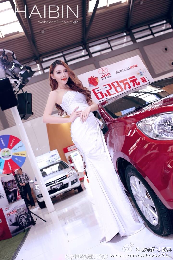 小酸菜(赵梓颖) 江淮巡展首席车模