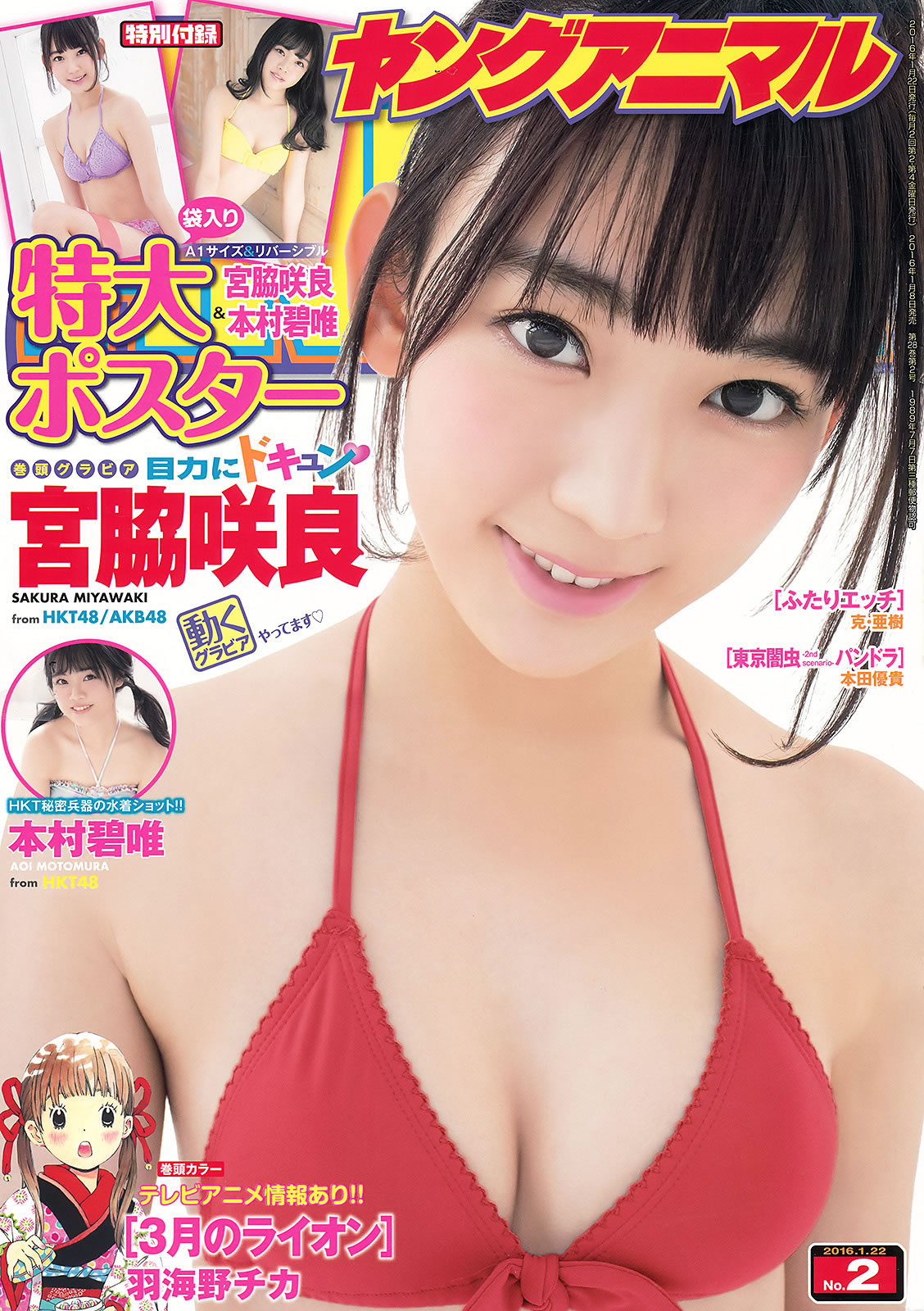 [Young Animal]高清写真图2016 No.02 03 宮脇咲良 本村碧唯 朝長美桜 渕上舞
