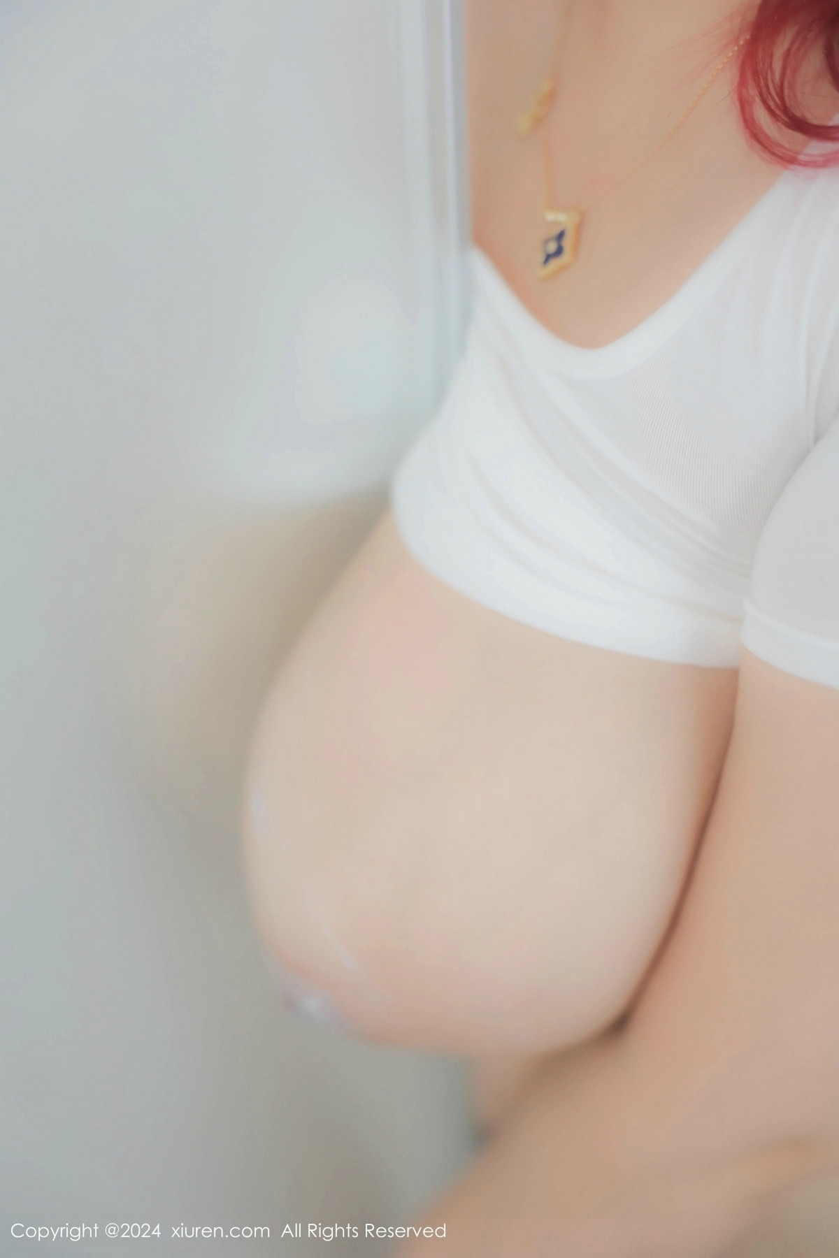 [XiuRen]高清写真图 2024.12.18 No.9615 H70的Lena 美乳性感