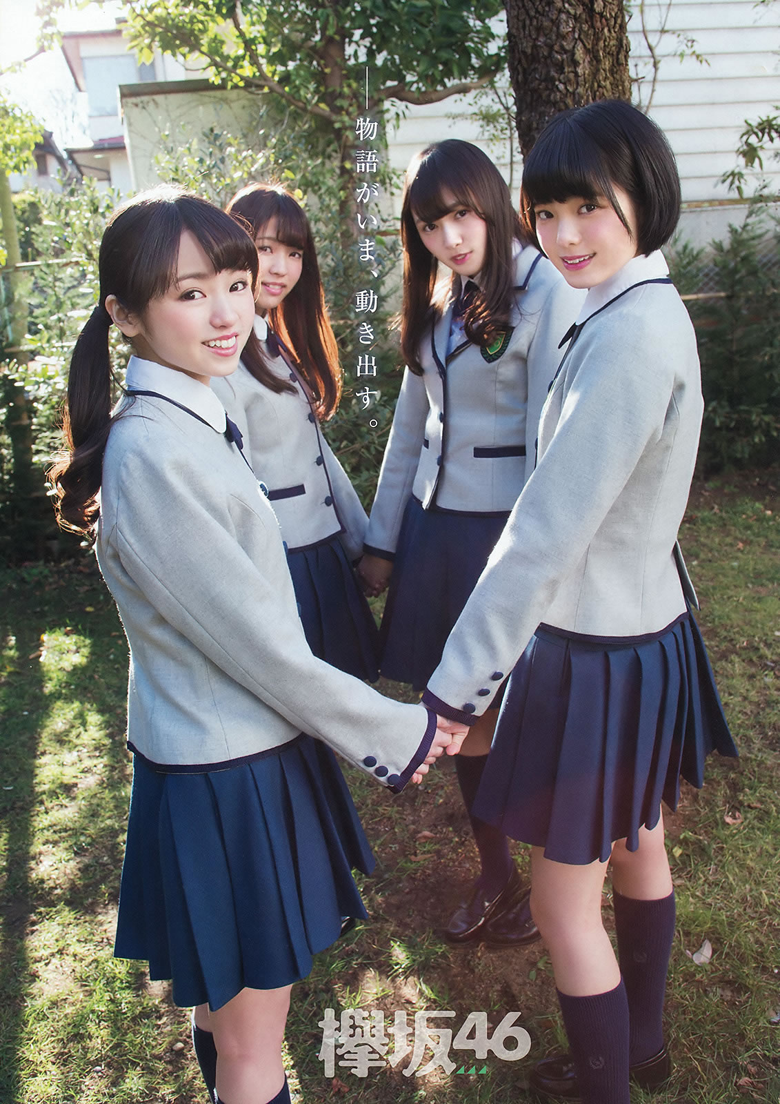 [Young Animal]高清写真图2016 No.06 欅坂46