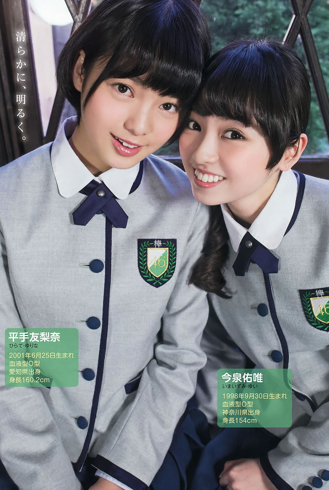 [Young Animal]高清写真图2016 No.06 欅坂46