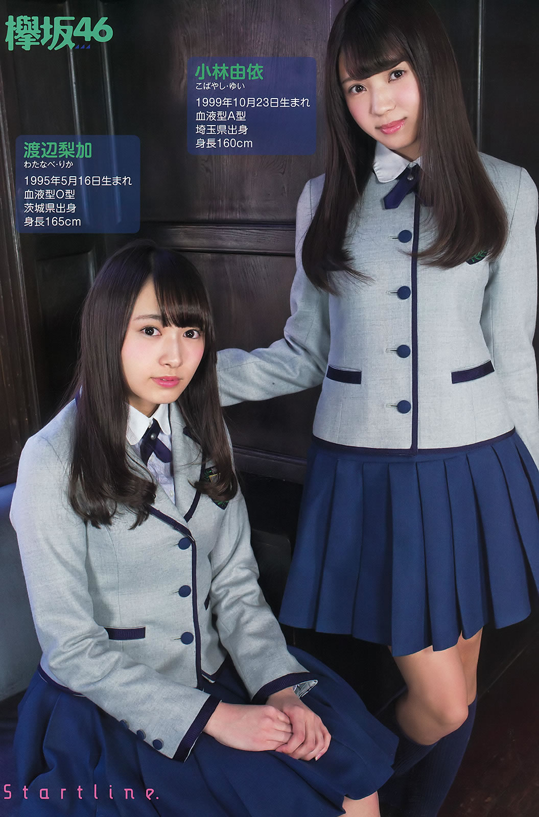 [Young Animal]高清写真图2016 No.06 欅坂46