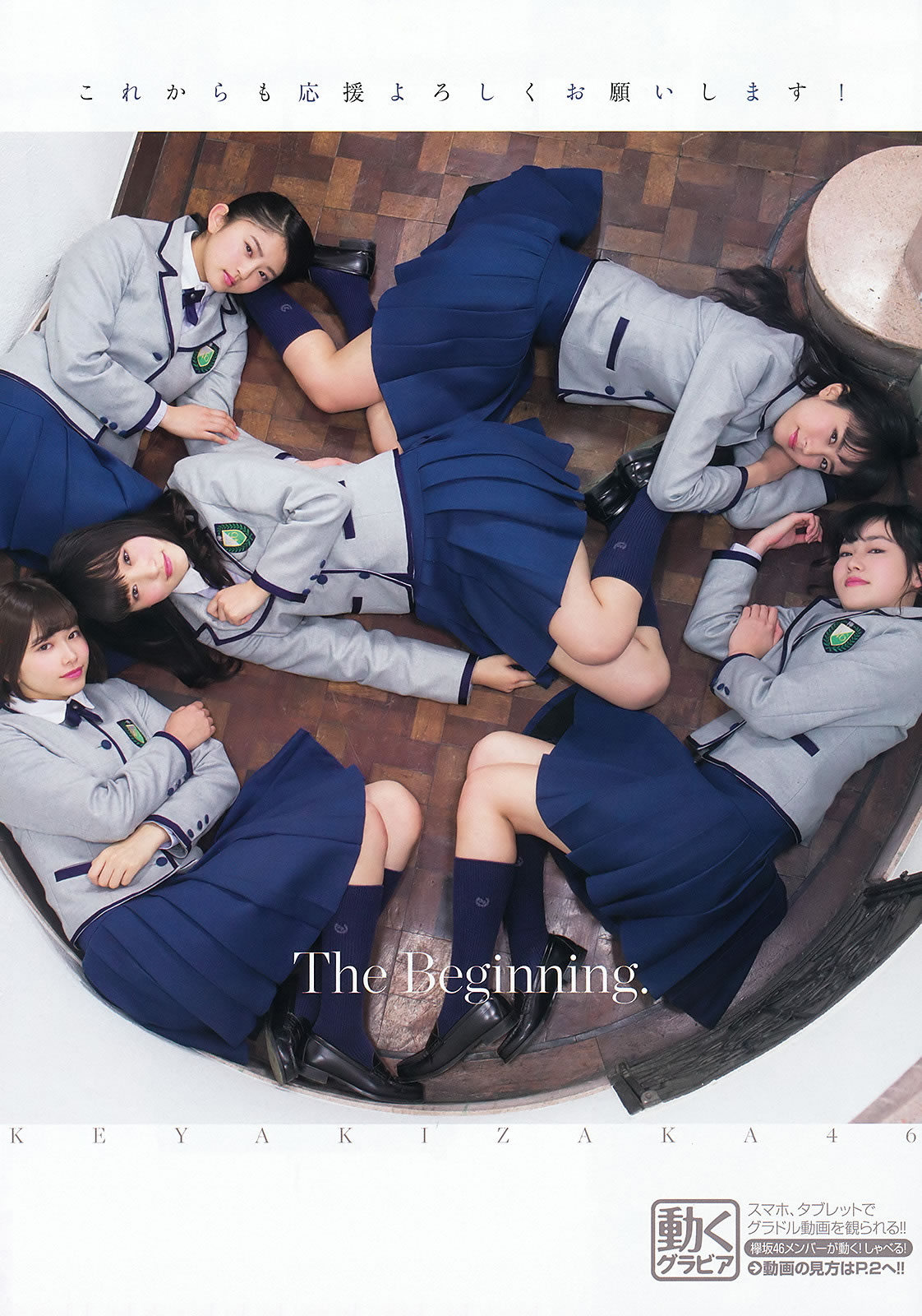 [Young Animal]高清写真图2016 No.06 欅坂46