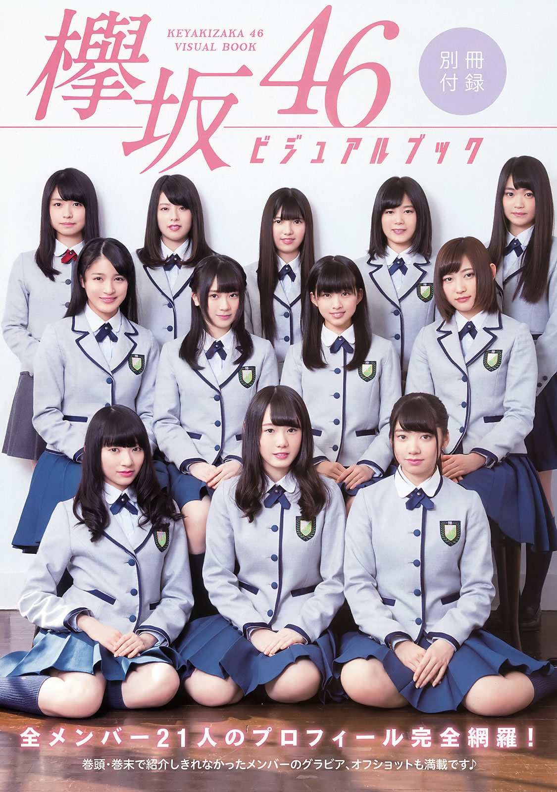 [Young Animal]高清写真图2016 No.06 欅坂46