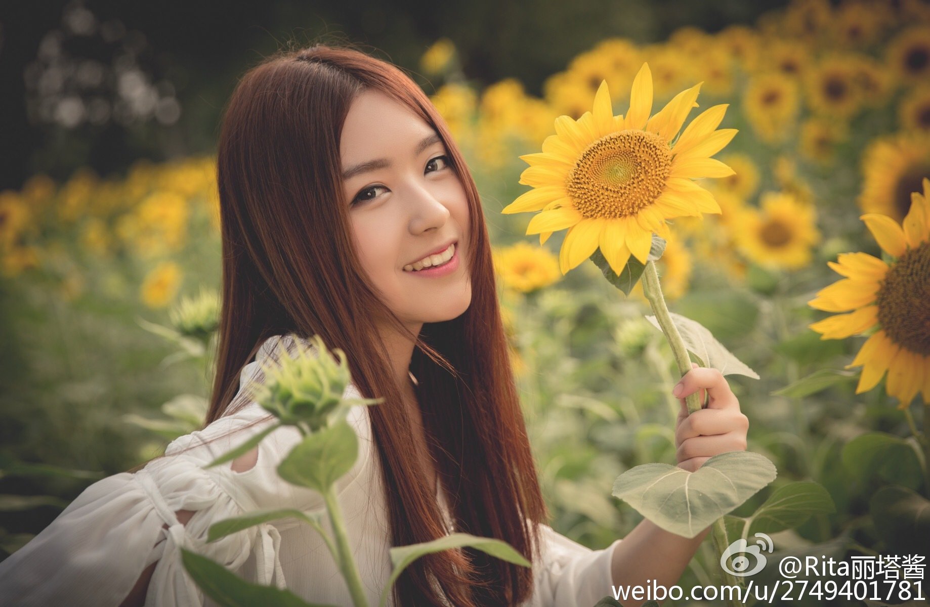 Rita小雨 LOL战队 support正妹SG