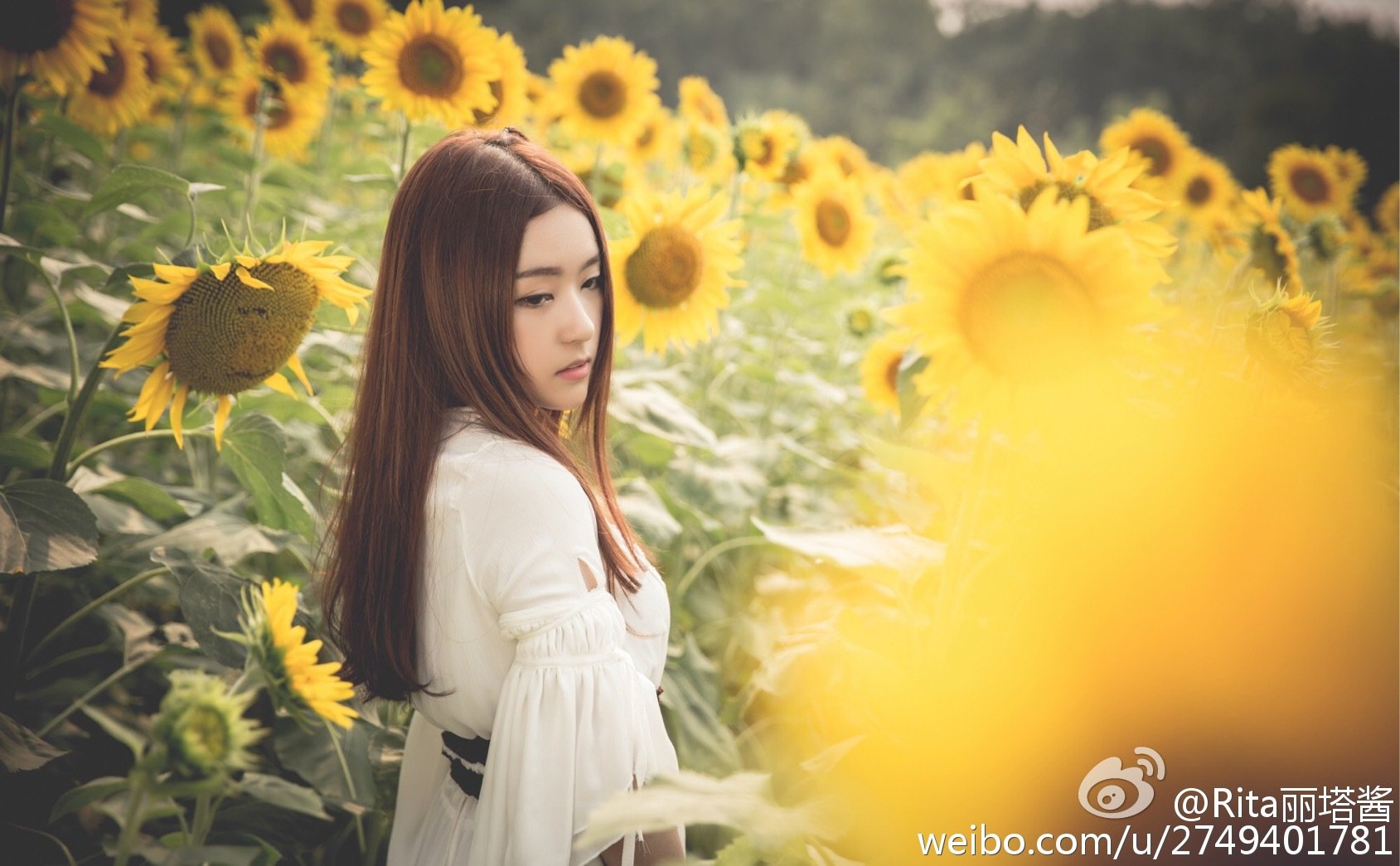Rita小雨 LOL战队 support正妹SG
