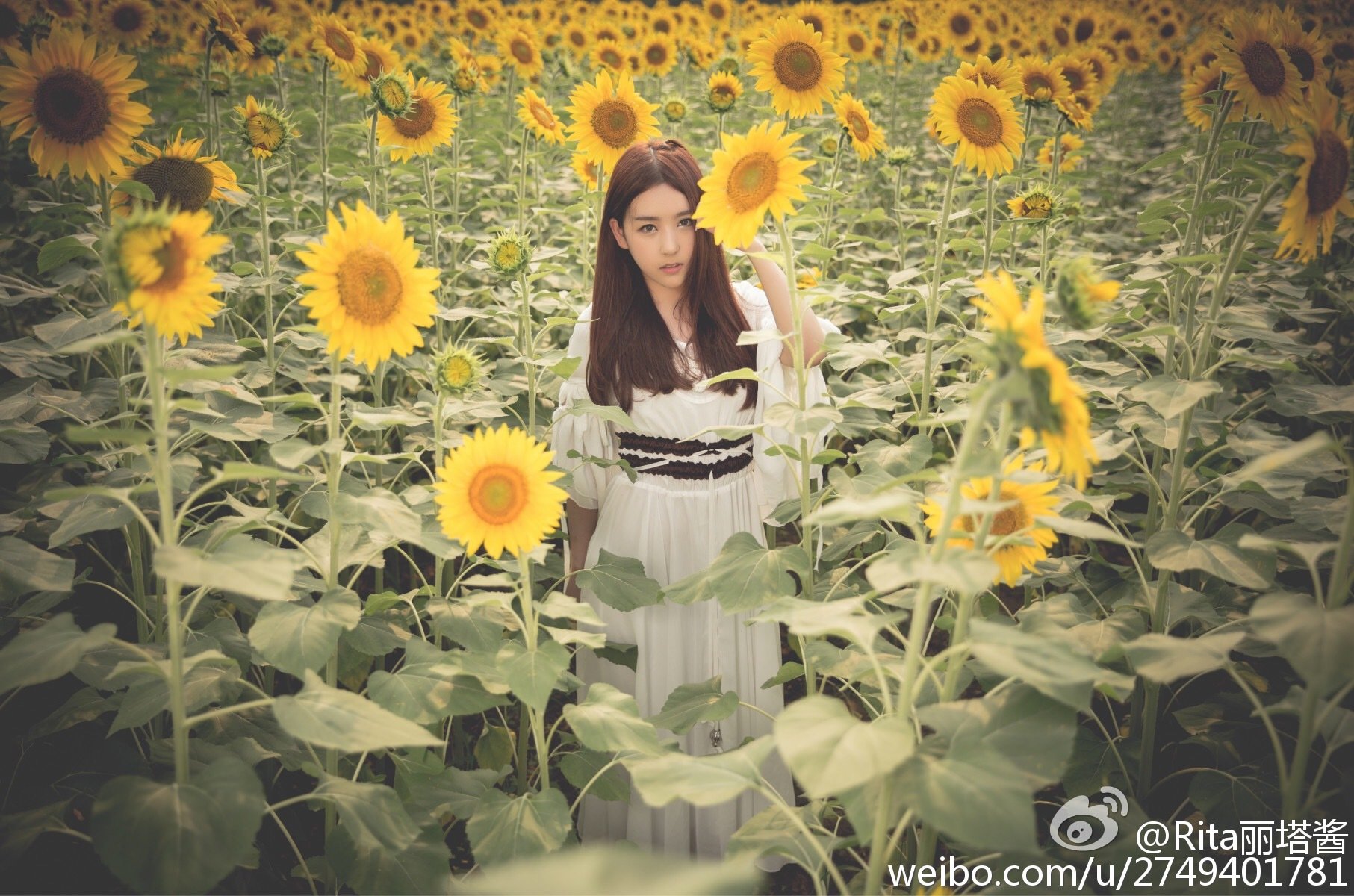 Rita小雨 LOL战队 support正妹SG