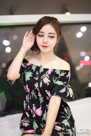 丁蕾Tiffany 2016Chinajoy冰穹展台主推SG
