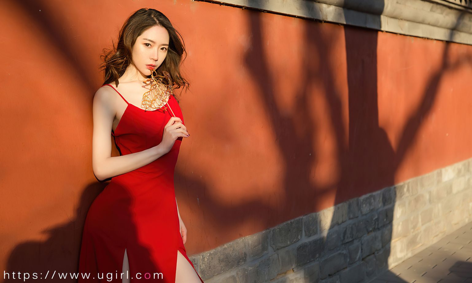 梦心玥恍惚的感情 为何时间总是匆匆