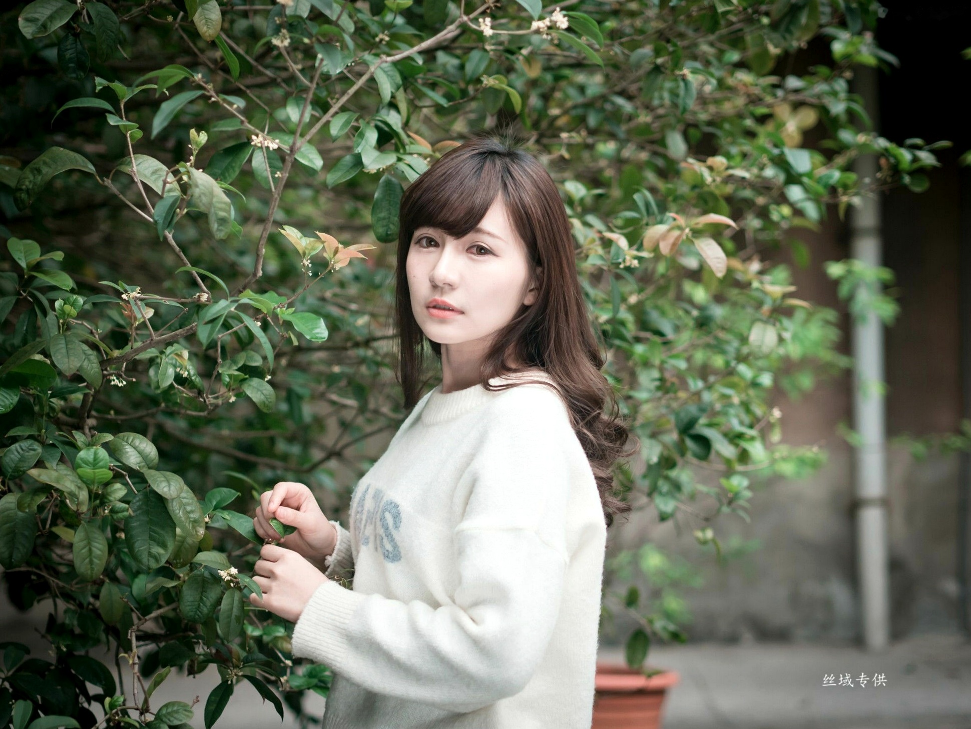 Gallery - 台湾正妹艾比《台湾大学》户外街拍女神写真集，清新学院风白毛衣少女私房照 [158P]台湾清新户外萌系治愈系 艾比女神私房照_秀色女神 - image 27
