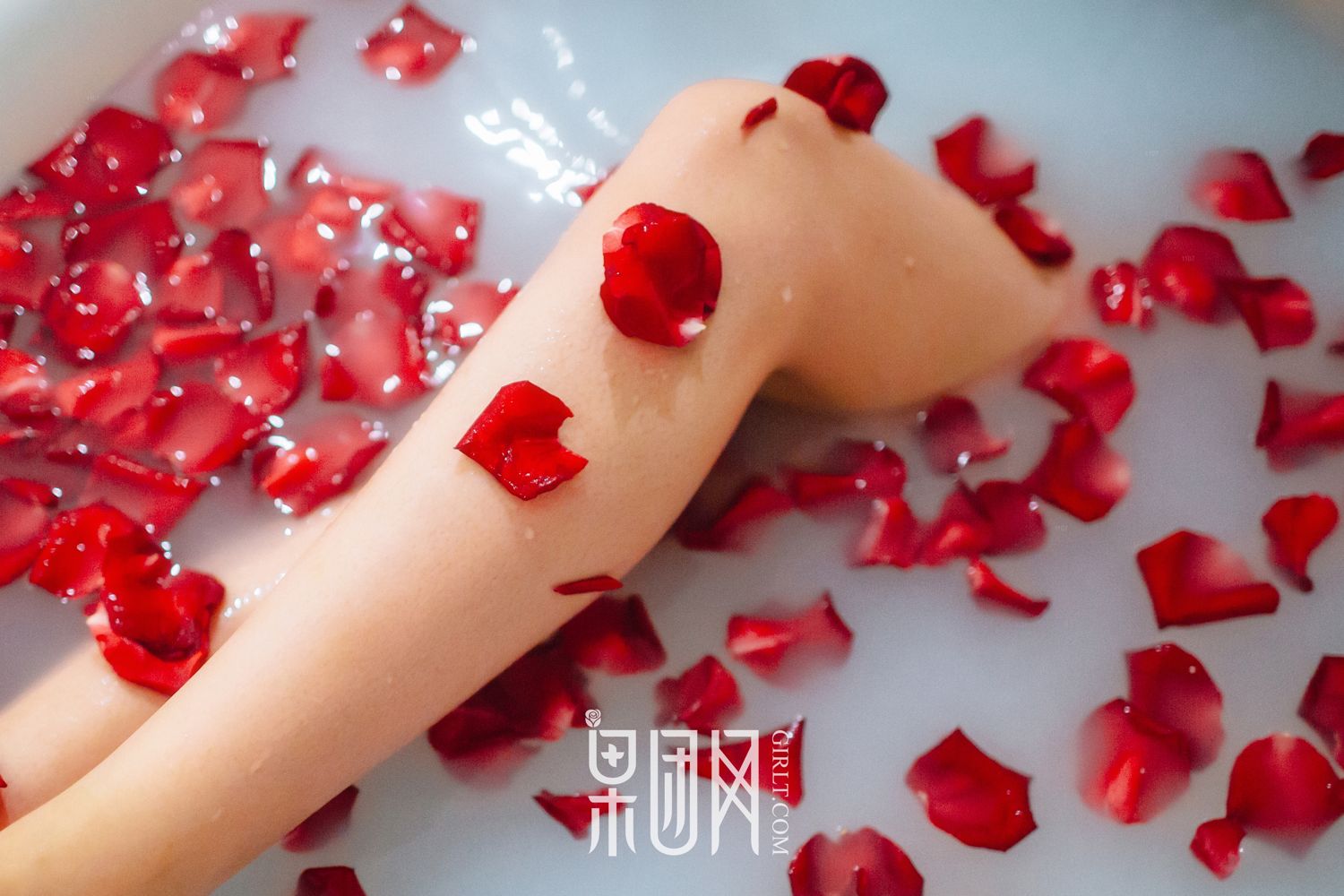 居室少女Anne寂寞等候