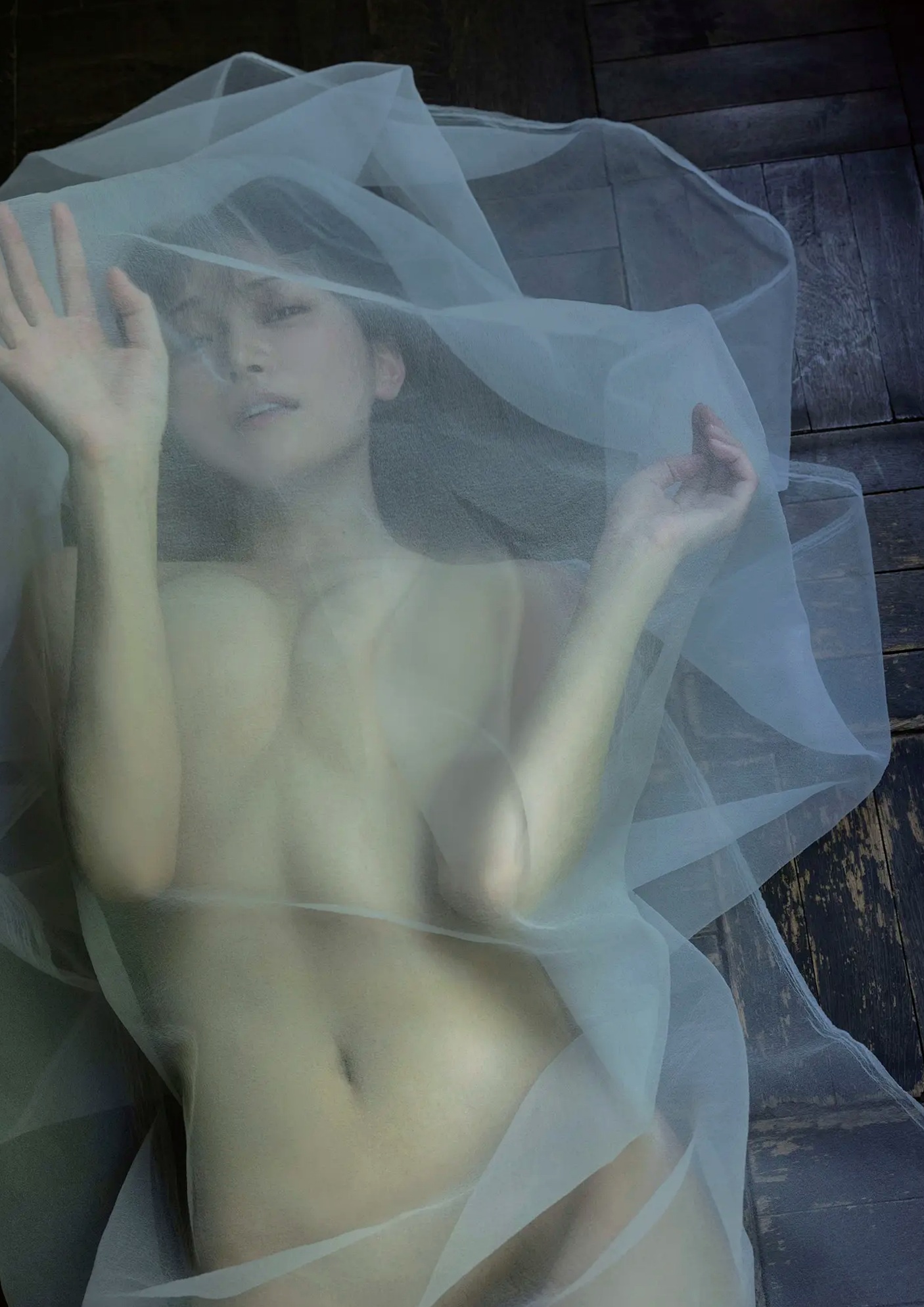 似鳥沙也加 - Ten. [110P] 性感女仆装与魅惑私房写真
