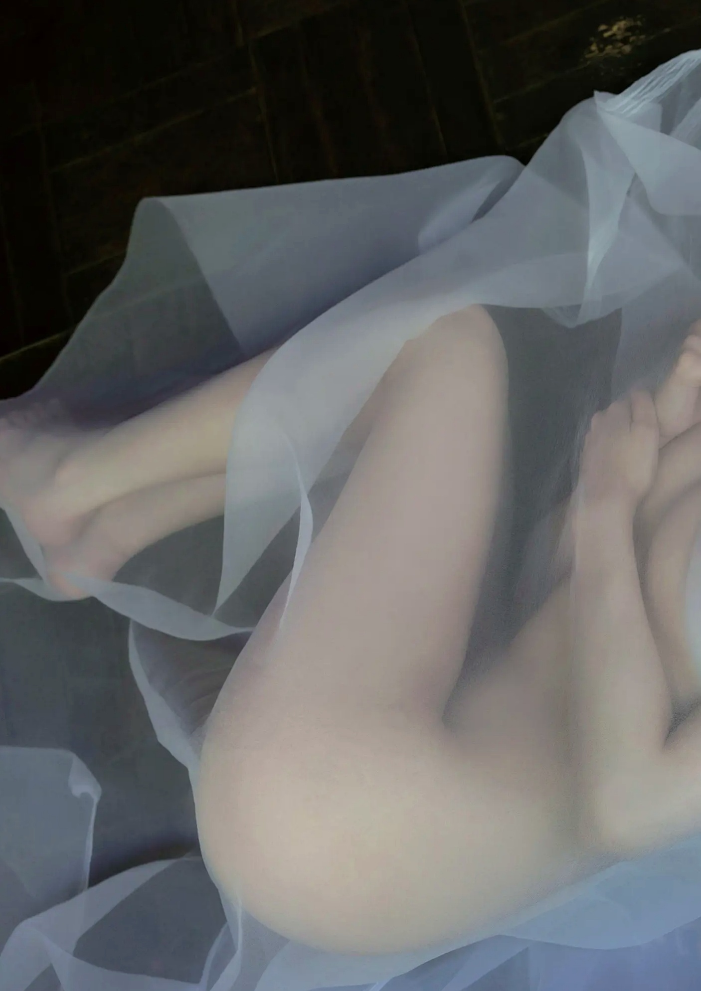 似鳥沙也加 - Ten. [110P] 性感女仆装与魅惑私房写真