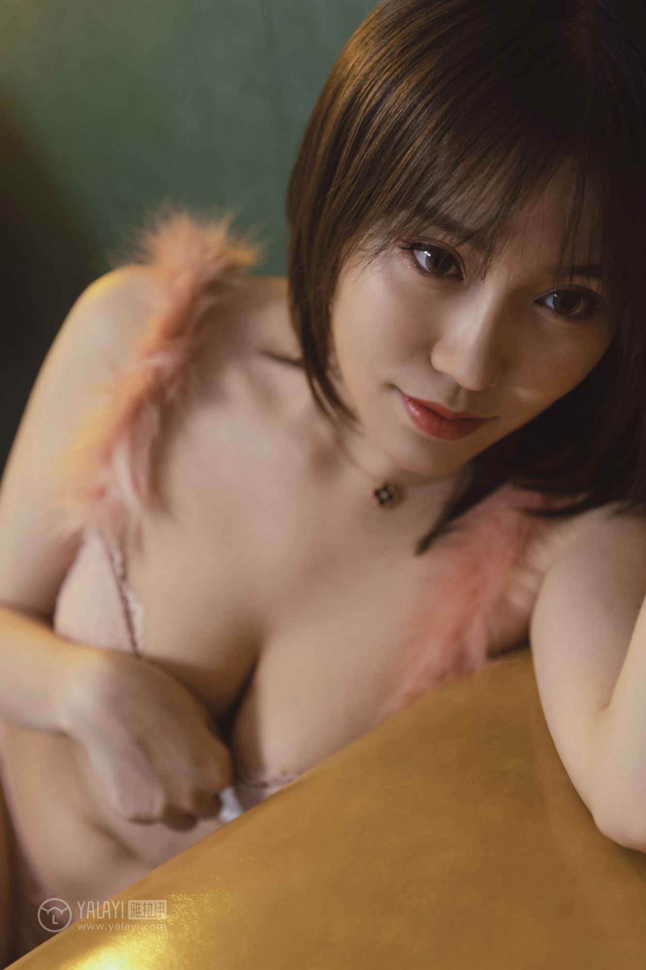 [YALAYI雅拉伊]高清写真图2018.12.07 No.139 花样年华 陈奕菲