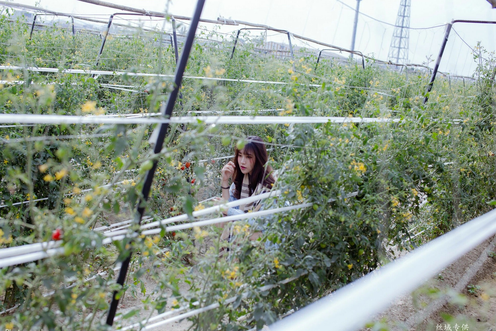 Gallery - 台湾正妹比比儿《小清新外拍》户外街拍写真集，展现邻家女孩纯美气质与动人魅力台湾清新户外街拍治愈系 比比儿女神私房照_秀色女神 - image 2