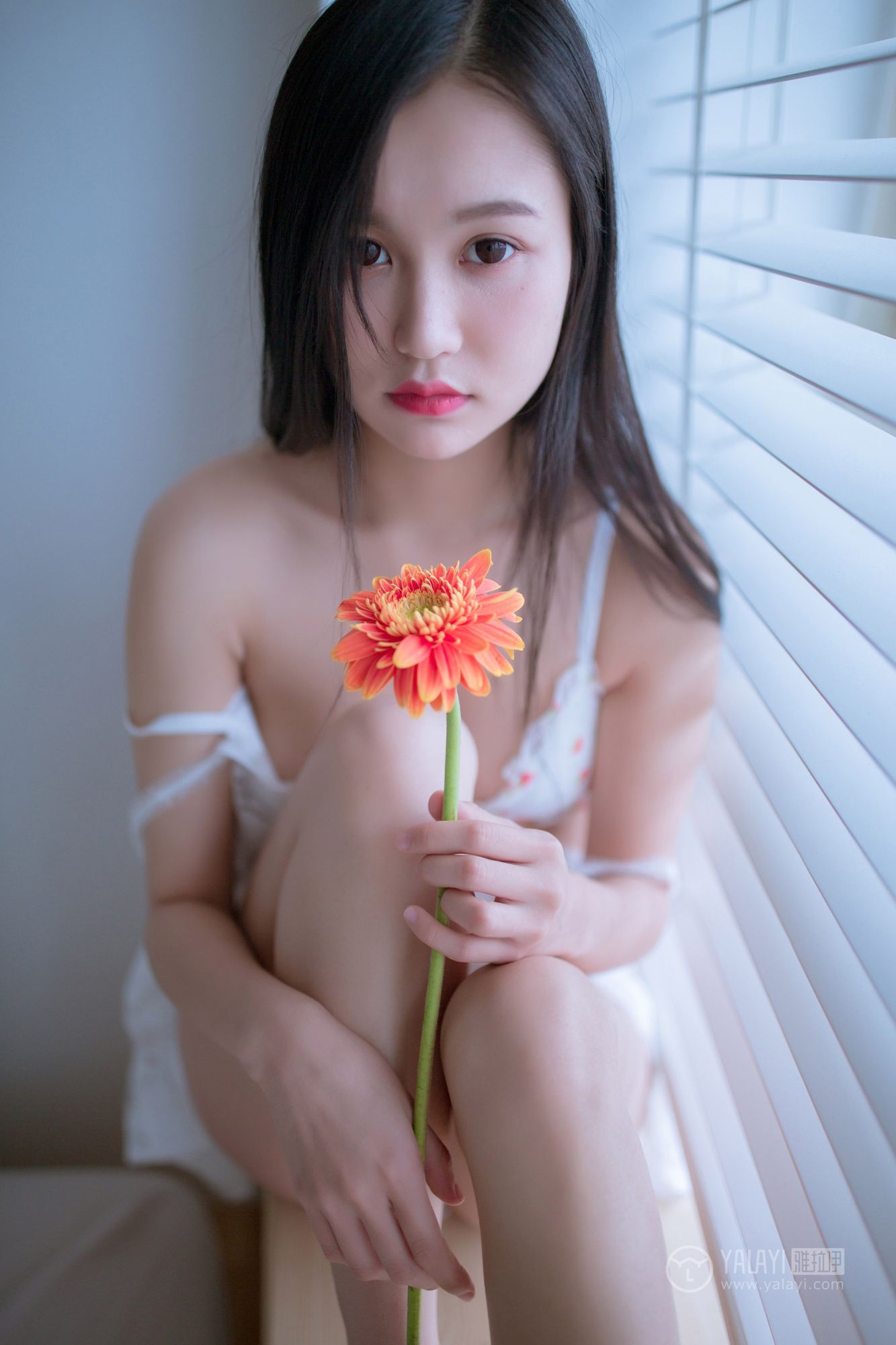 [YALAYI雅拉伊]高清写真图 2019.02.14 No.185 你是我手里那束花 仙女不会灰