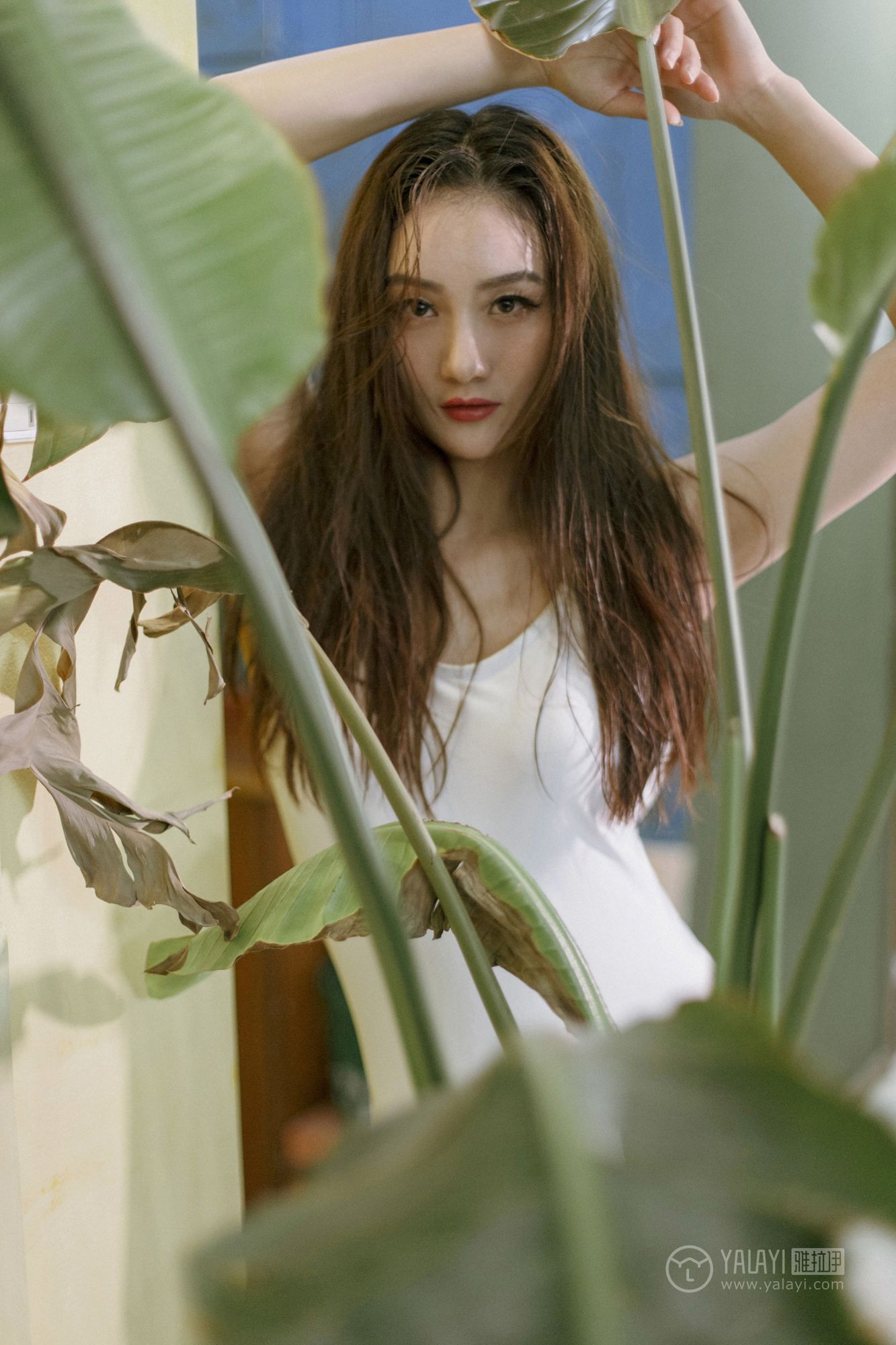 [YALAYI雅拉伊]高清写真图 2019.04.17 No.247 独孤 徐雅熙