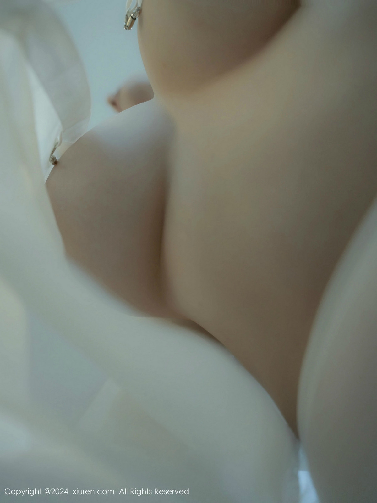 [XiuRen]高清写真图 2024.12.27 No.9667 袁圆 丝袜美臀