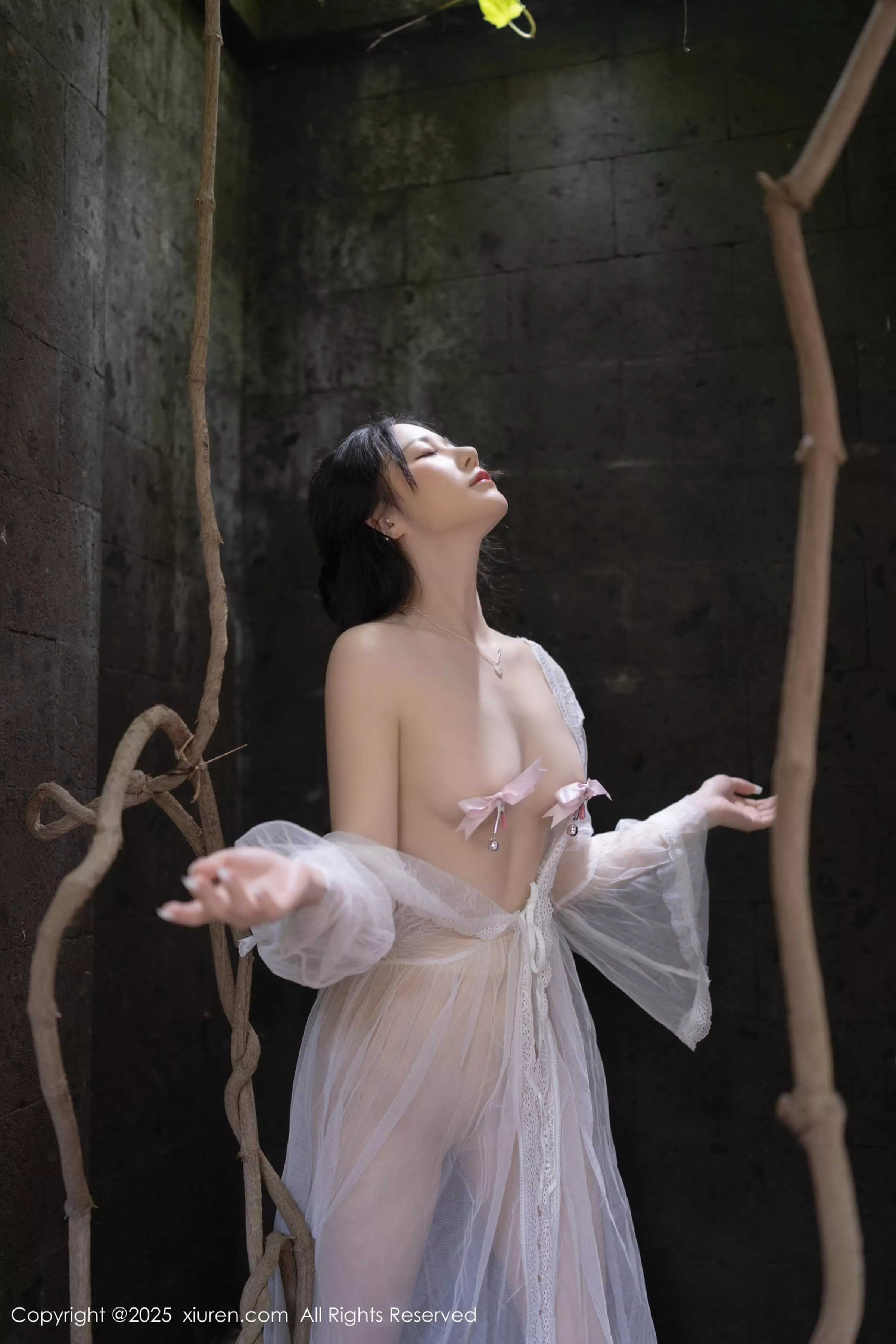 [XiuRen]高清写真图 2025.04.18 No.10173 鱼子酱Fish 轻透连衣裙