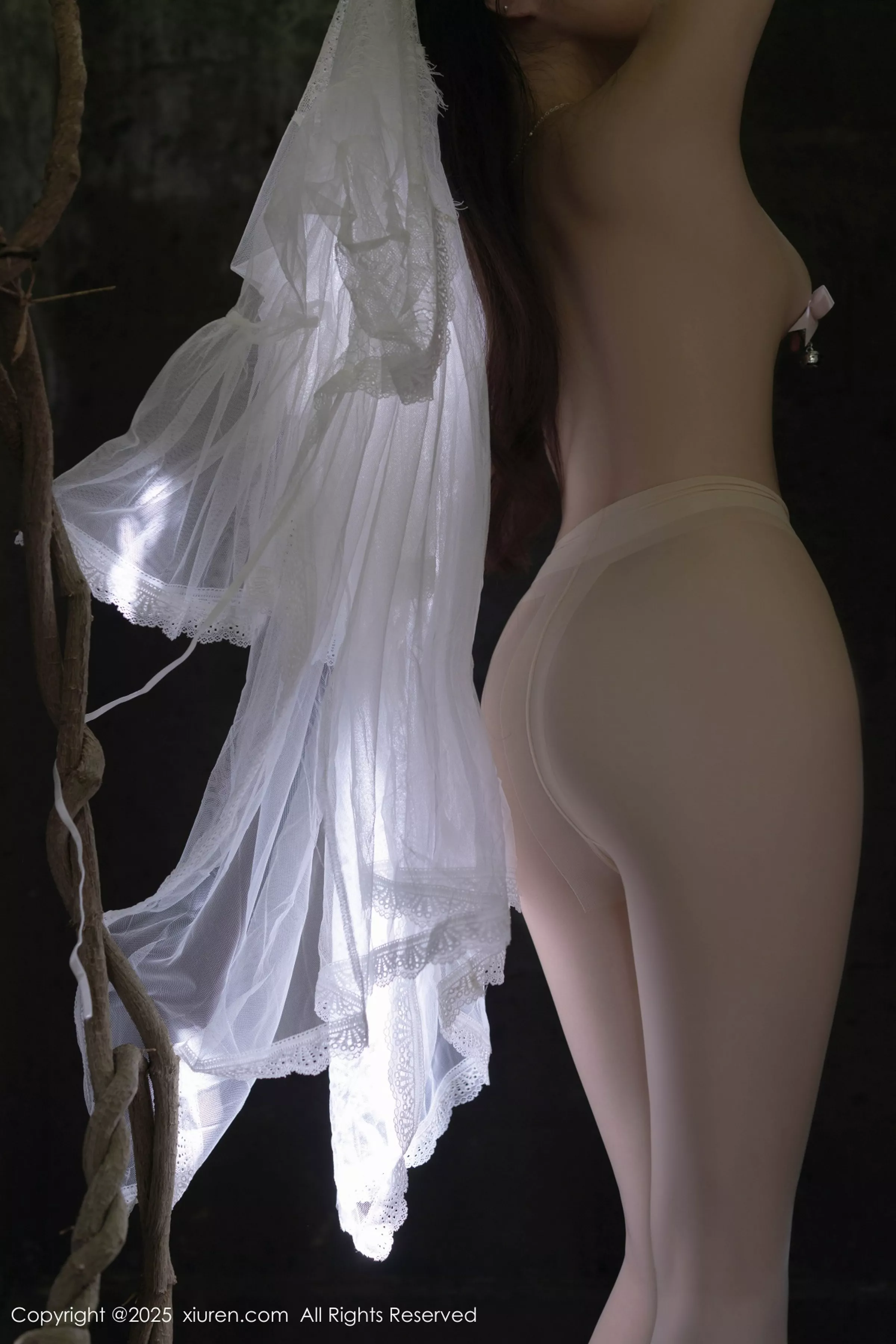 [XiuRen]高清写真图 2025.04.18 No.10173 鱼子酱Fish 轻透连衣裙
