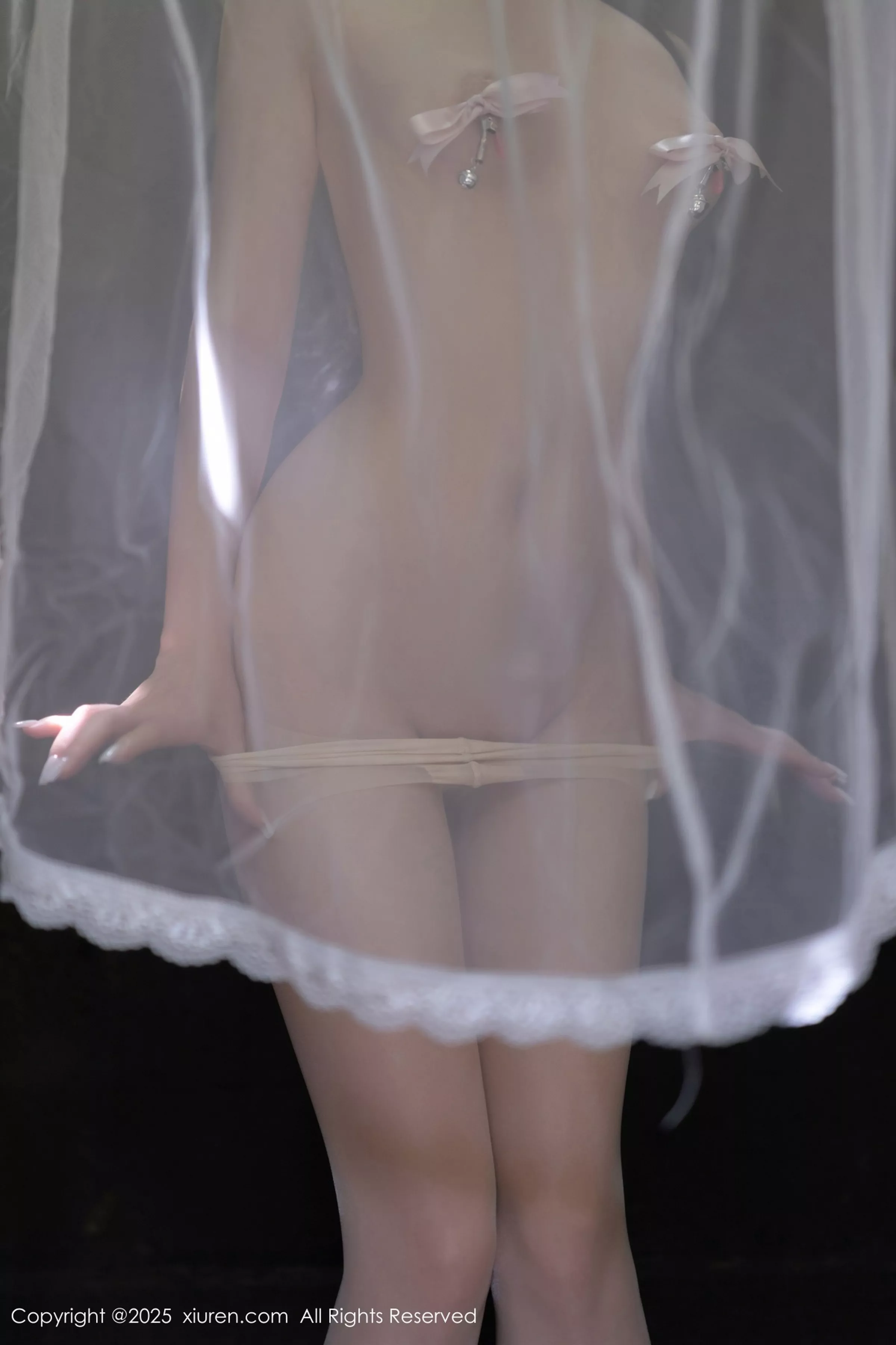 [XiuRen]高清写真图 2025.04.18 No.10173 鱼子酱Fish 轻透连衣裙