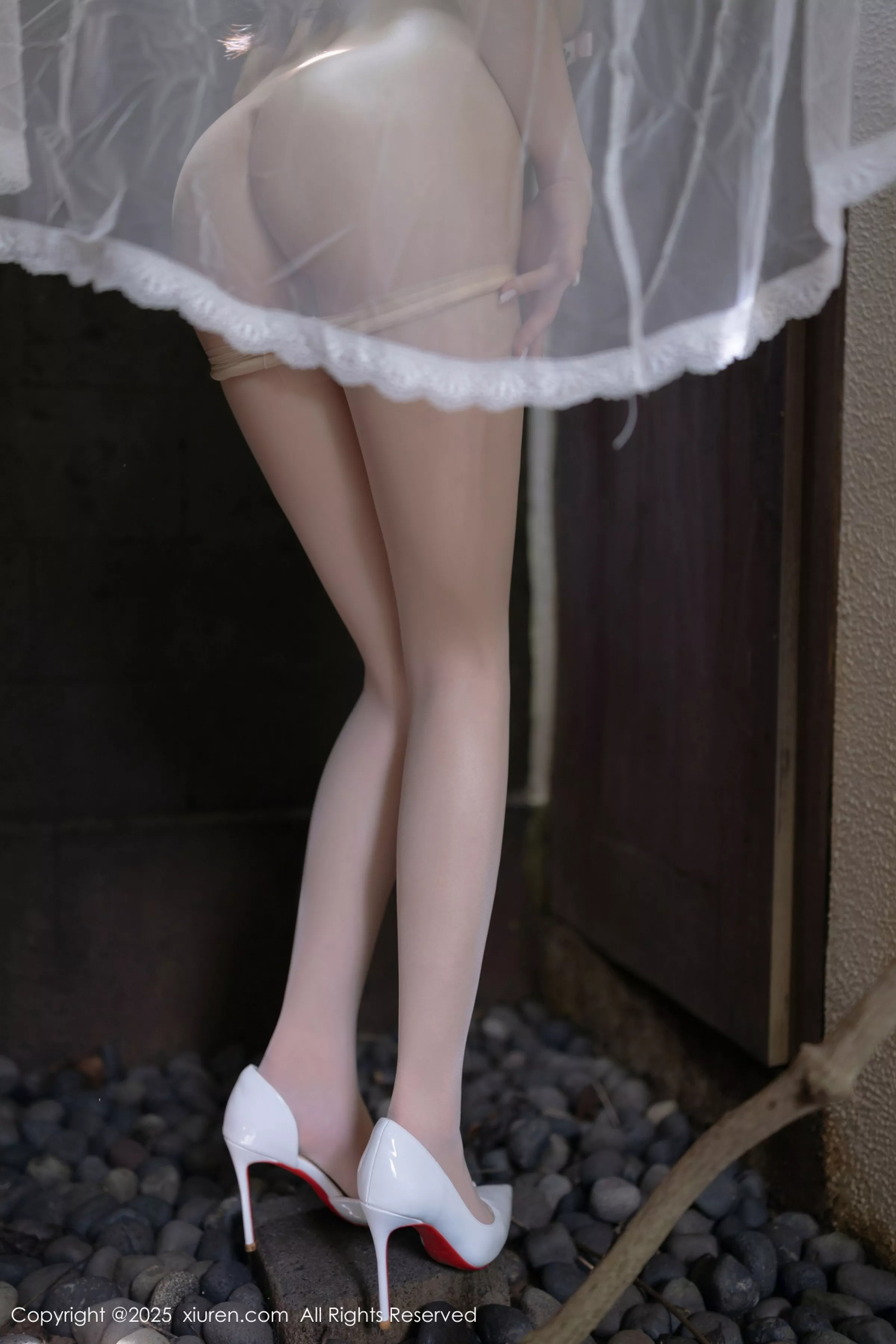 [XiuRen]高清写真图 2025.04.18 No.10173 鱼子酱Fish 轻透连衣裙