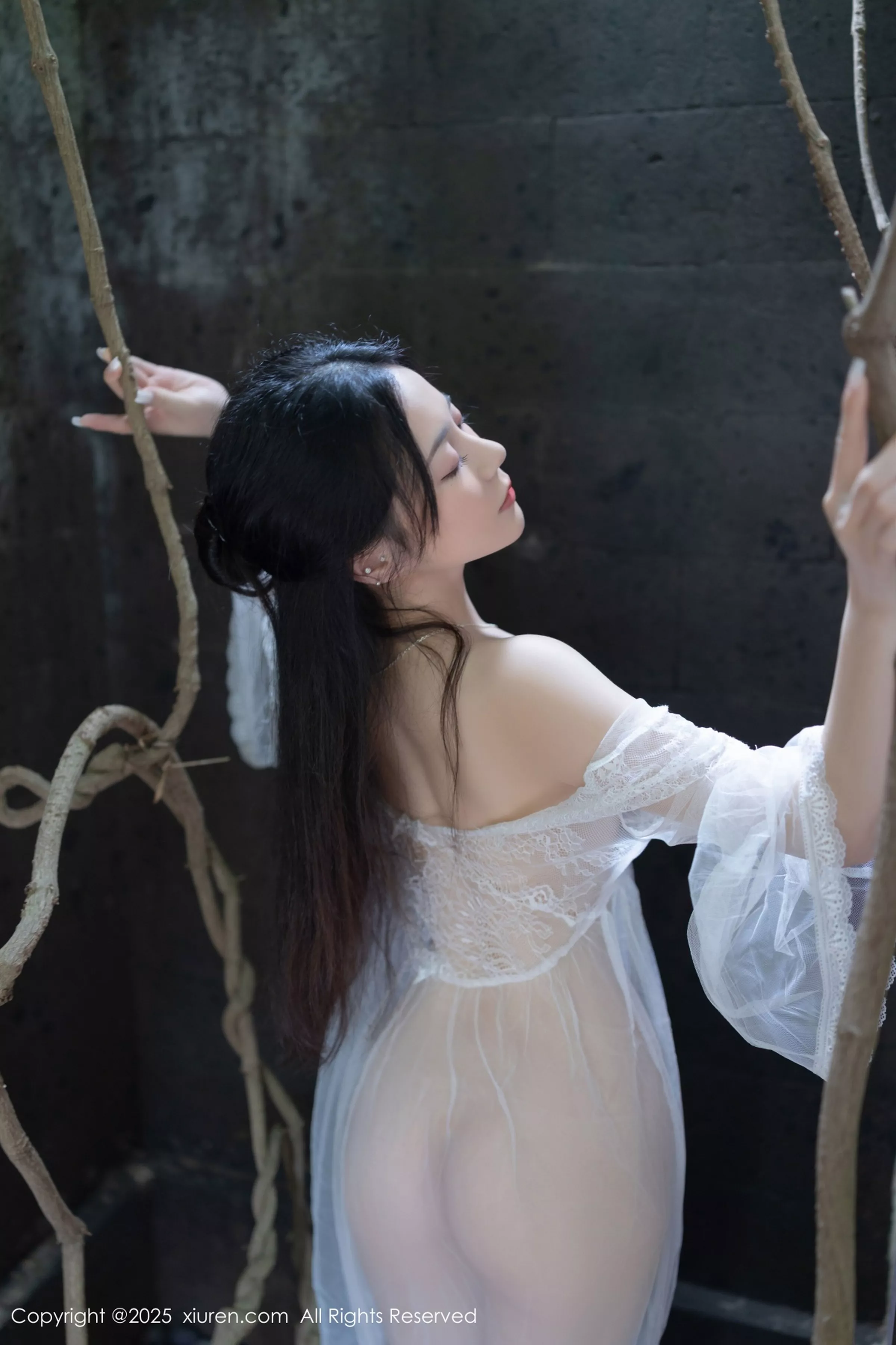 [XiuRen]高清写真图 2025.04.18 No.10173 鱼子酱Fish 轻透连衣裙