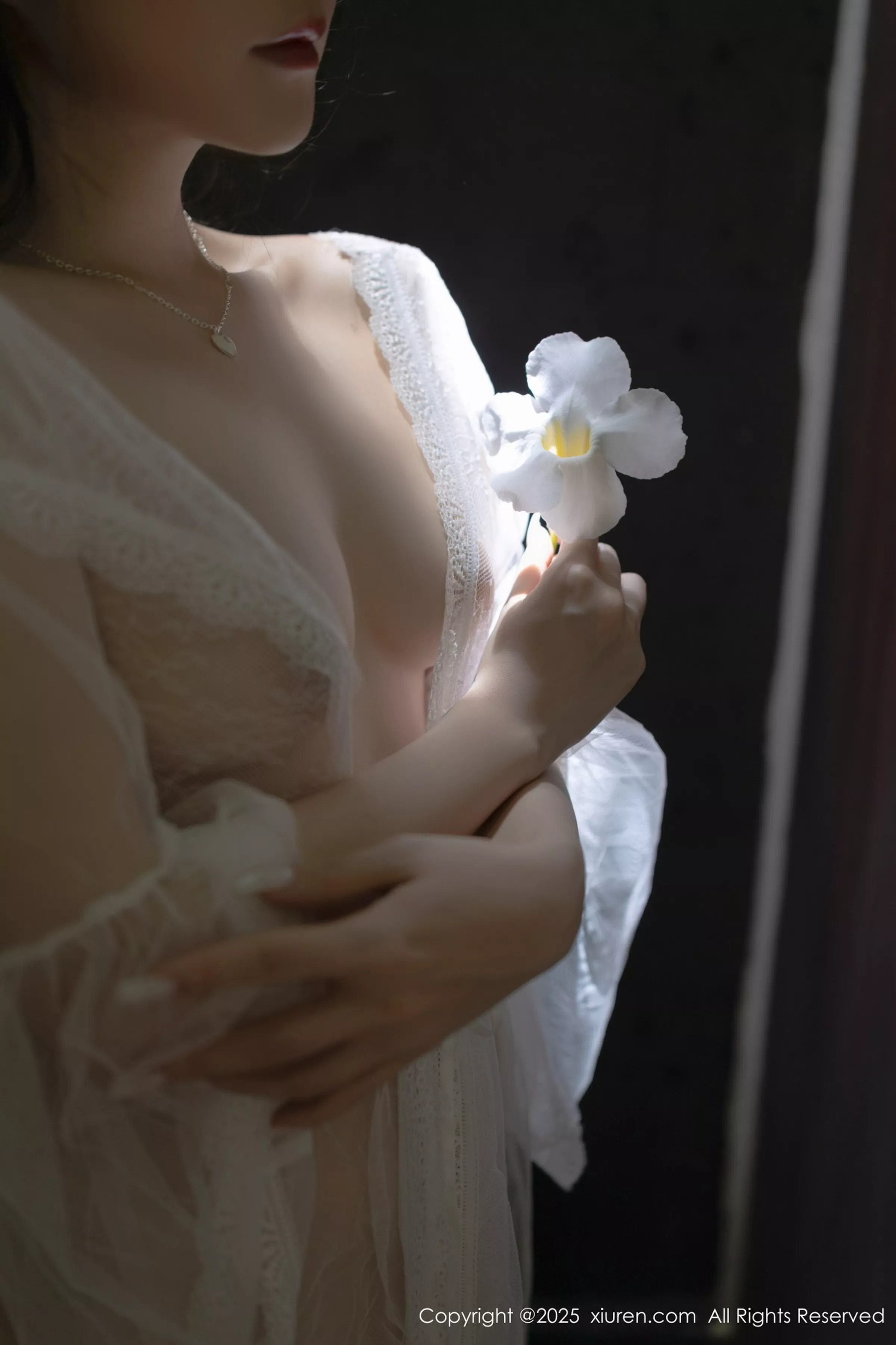 [XiuRen]高清写真图 2025.04.18 No.10173 鱼子酱Fish 轻透连衣裙