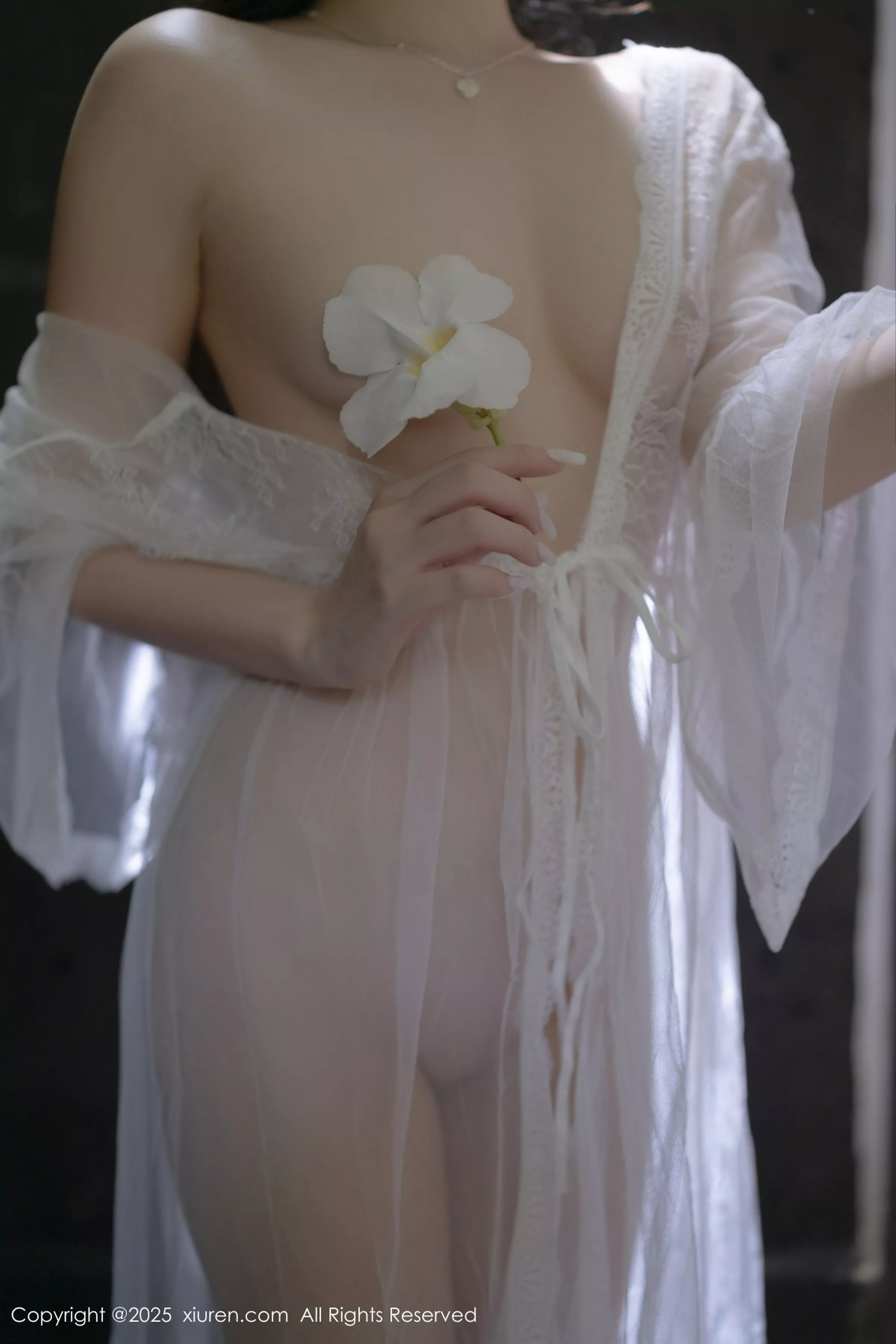 [XiuRen]高清写真图 2025.04.18 No.10173 鱼子酱Fish 轻透连衣裙