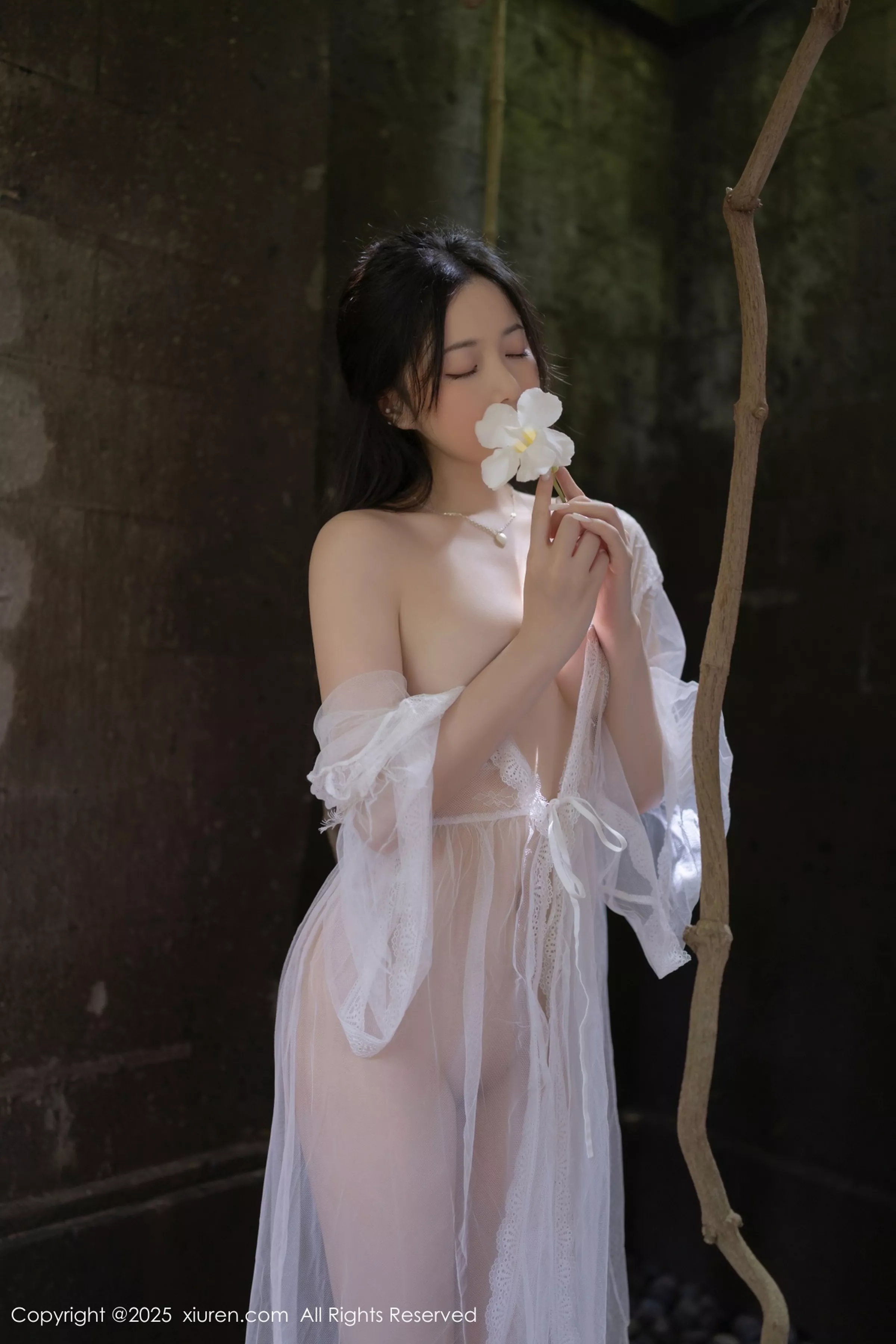 [XiuRen]高清写真图 2025.04.18 No.10173 鱼子酱Fish 轻透连衣裙