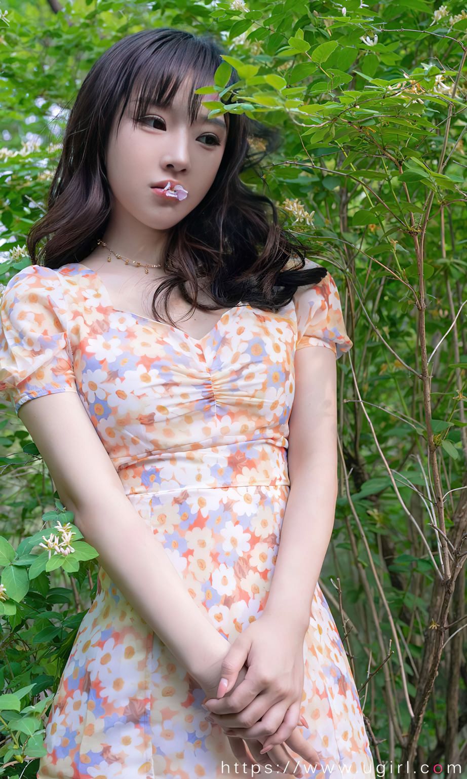 西门小玉花开荼蘼