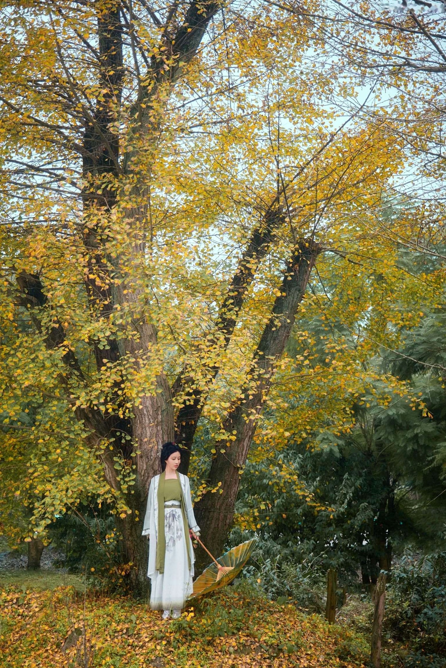 Gallery - 年年Nnian-秋兮：古风汉服户外私房，绝美少女秋日林间大尺度唯美写真户外私房照大尺度清纯气质 年年女神私房照_秀色女神 - image 34