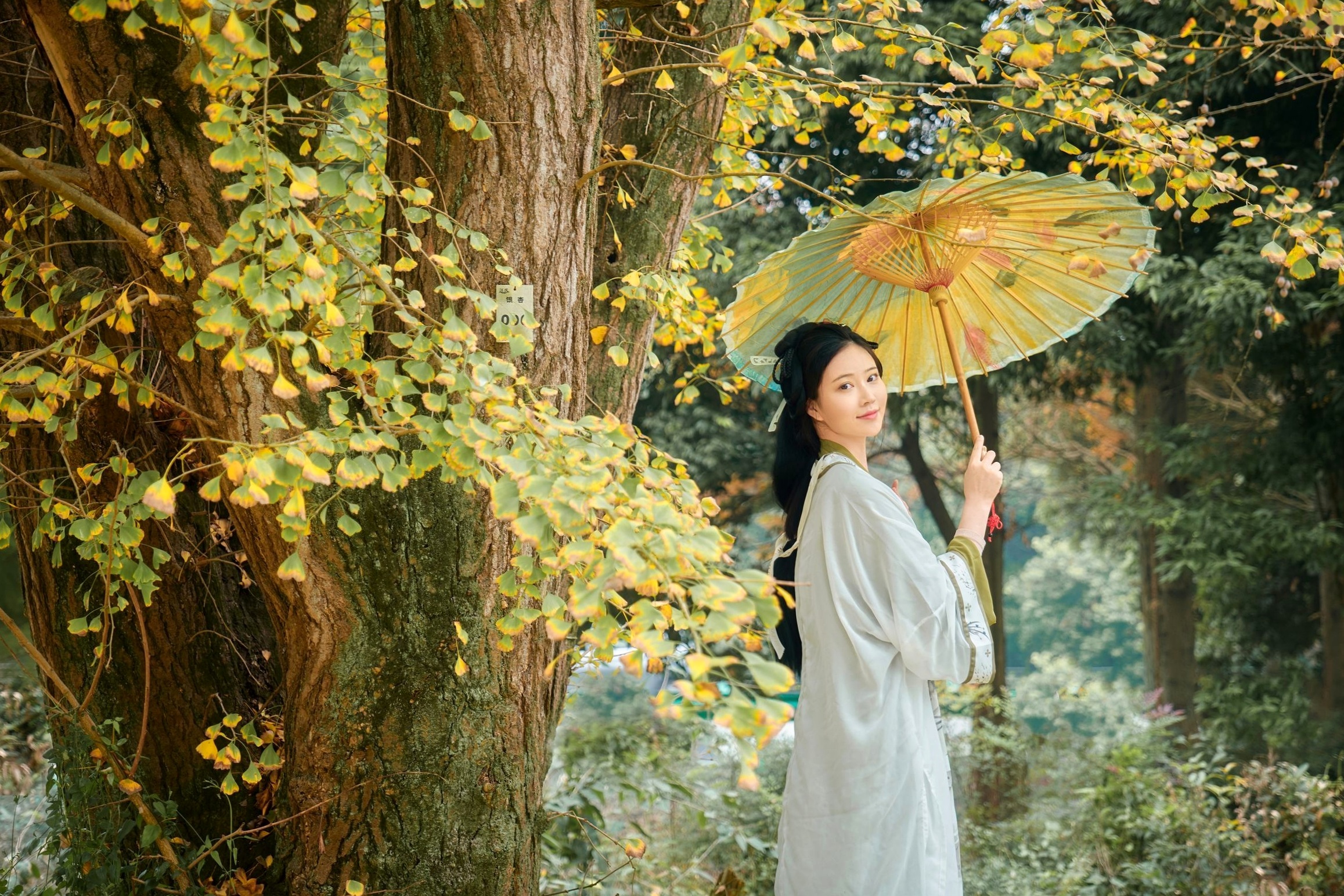 Gallery - 年年Nnian-秋兮：古风汉服户外私房，绝美少女秋日林间大尺度唯美写真户外私房照大尺度清纯气质 年年女神私房照_秀色女神 - image 39