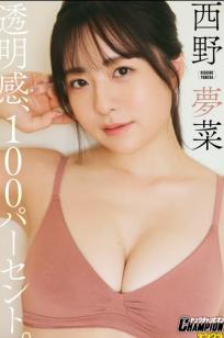 西野夢菜 - 透明感100% 日系清新家居内衣私房写真