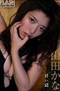 山田かな《甘い罠》性感内衣私房照 湿身诱惑写真