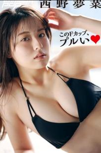 西野夢菜 - このFカップ、プルい 日本性感女神室内酒红内衣私房写真