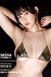 篠見星奈 - SEINA MODE 流れ星をみた 性感金色比基尼与蕾丝内衣私房写真