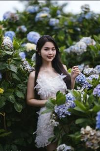米浆 - 清新唯美绣球花丛女神写真，治愈系甜美户外花园私房照