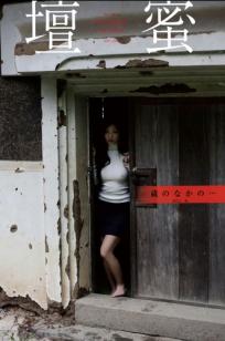 壇蜜 - 蔵のなかの：文艺教室与简约私房写真，尽显极致诱惑艺术美学