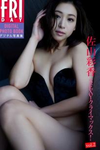 佐山彩香 - SEXYクライマックス vol.2 室内私房性感写真大片