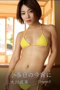 大川成美 - 小春日の今宵に Chapter 2：榻榻米房间黄色比基尼诱惑，性感私房写真大尺度美图