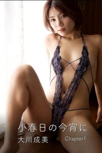 大川成美《小春日の今宵に Chapter 1》私房写真，复古室内蕾丝诱惑，大尺度性感美图合集