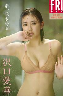 沢口愛華 - 愛、咲き誇る [96P] 泳池比基尼性感内衣写真