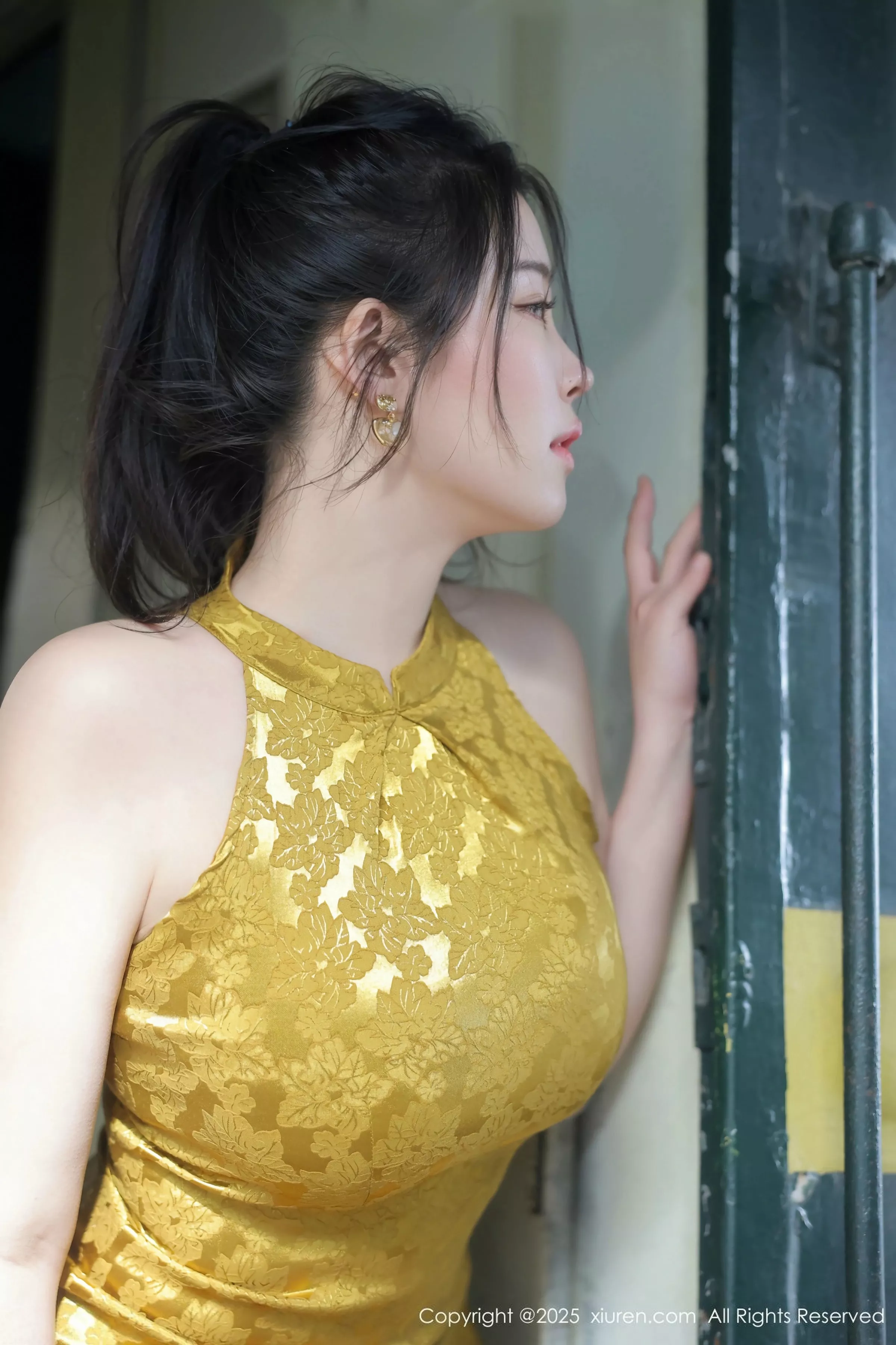   [XiuRen]高清写真图 2025.05.13 No.10269 林若凡F 黄色旗袍第20张图片