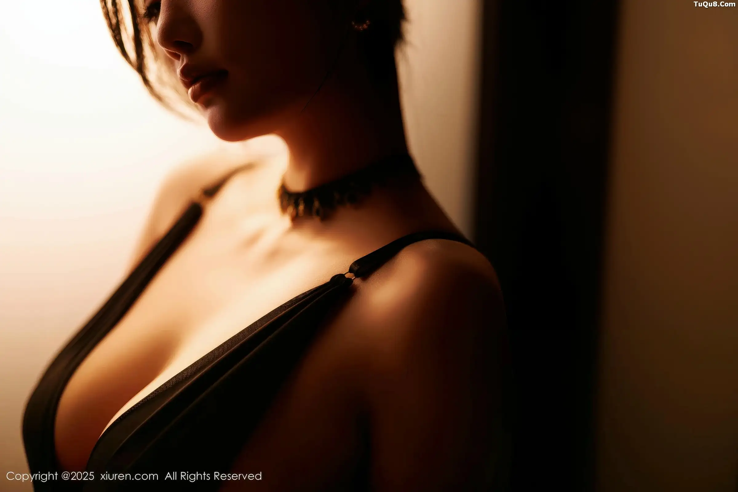   [XiuRen]高清写真图 2025.11.20 No.11013 CHENCHEN. 情趣内衣第46张图片