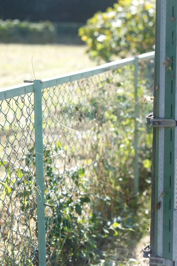   大熊杏優 - 阳光家居白色比基尼清纯性感写真[53P]第27张图片