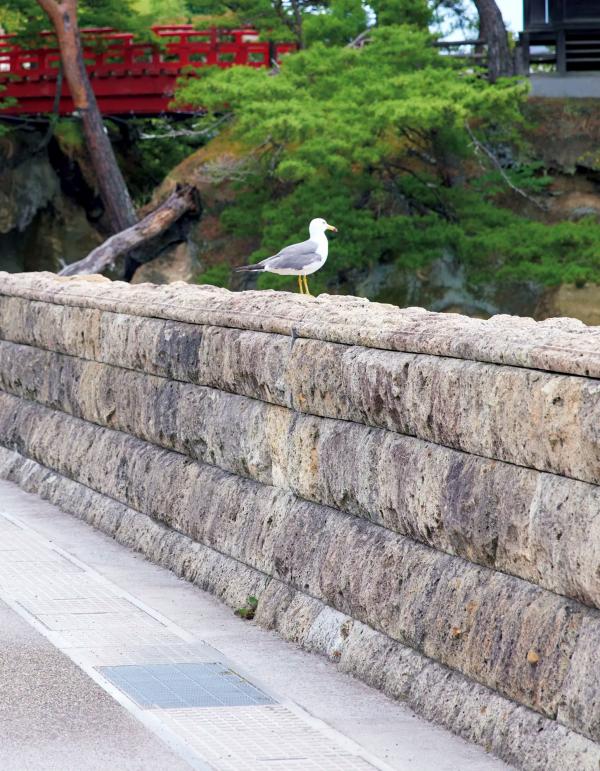    伊達さゆり写真集《あしあと》：清纯治愈系家居与沙滩戏水写真 [109P]第108张图片