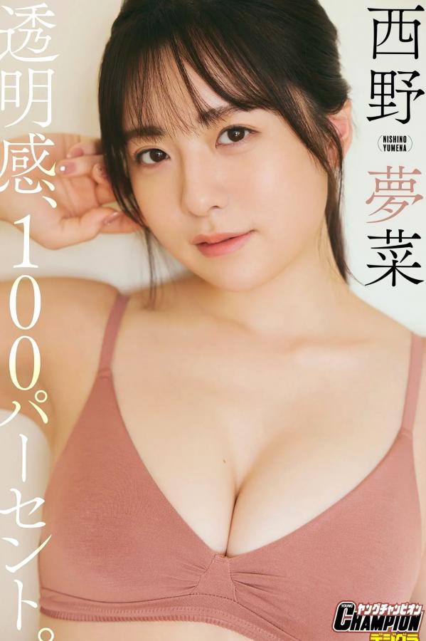   西野夢菜 - 透明感100% 日系清新家居内衣私房写真第1张图片